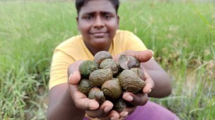 'நத்தை வேட்டை|Snail Hunting|நடு ரோட்டில் நத்தை கறி வறுவல்|நத்தை வெண்ணை ரோஸ்ட்|'