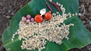 'VILLAGE style PASTA prepared by small boy suppu//village food safari'