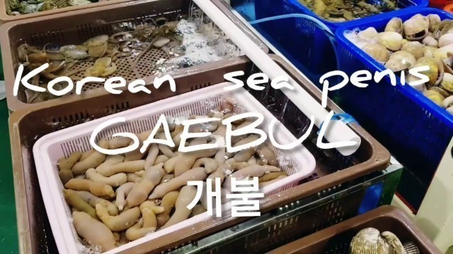 'penis sea | korean seafood |korean street food | SPOON WORM |SEA CUCUMBER|GAEBUL |URECHIS UNICINCTUS'