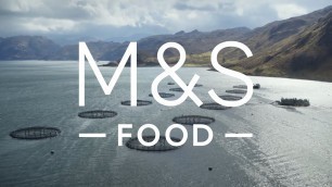 '100% Scottish Salmon | Episode 1 | Fresh Market Update | M&S FOOD'