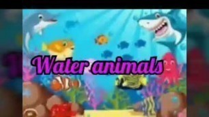 'Awesome pictures of water animals ,their babies and various types of sea food I GK I class 5 and 6'