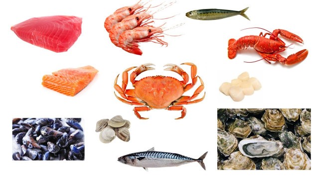 'English Vocabulary - SEAFOOD'