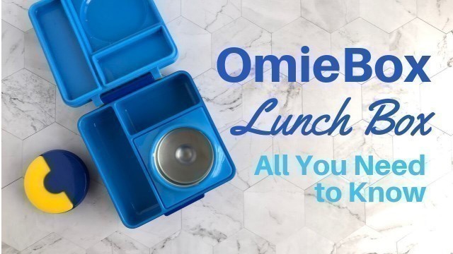 'OmieBox Lunch Box: All You Need to Know!'