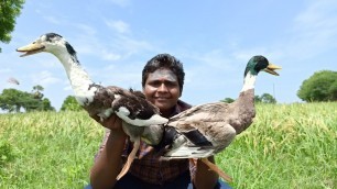 'Duck Gravy |வயல் காட்டில் வாத்து கிரேவி|Small Boy Suppu|Village Food Safari'