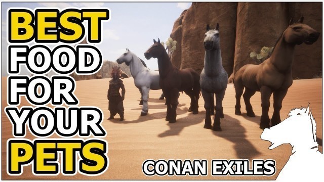 'Best food for your Pets | CONAN EXILES'