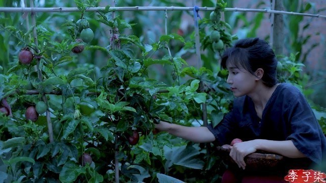 '（百香果）Eat a lot of food, soak the summer of the fruity fruit ——passion fruit  |Liziqi channel'