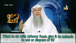 'What to do with leftover food, must we eat it, feed it to animals or throw it away - Assim al hakeem'