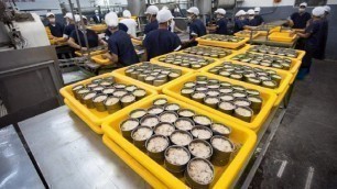 'How it made Canned Tuna processing line in Factory'