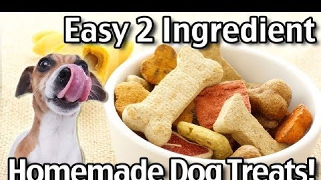 2 Ingredient Homemade Dog Treats - Natural DIY Dog Treats Recipes