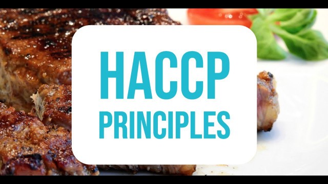 'HACCP Principles: Understanding this food safety system [iQKitchen]'