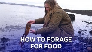 'Foraging For Food In Scotland | BBC The Social'