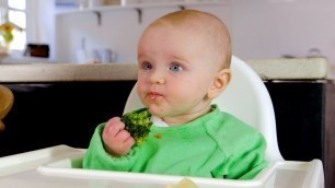 'Baby-led weaning basics'