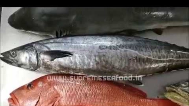 'Fish names in English & Tamil | 28 Varieities | Supreme Seafood'