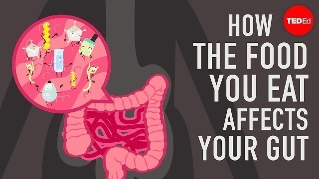 'How the food you eat affects your gut - Shilpa Ravella'