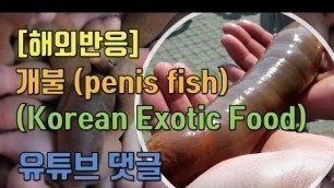 '[해외반응] 개불 penis fish (Korean Exotic Food)  난리난 댓글반응 कोरियाई भोजन'