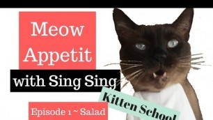 'What Kind of Cat Eats SALAD? This Siamese does ! Meow Appetit!'