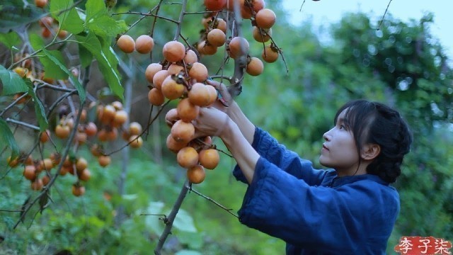 '吊柿饼|It’s a red mountain, and in the fall, it’s natural to make some sweet persimmons.|Liziqi channel'