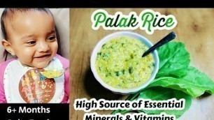 'Palak Rice For Babies/ Spinach Rice Recipe/ 6 Months Baby Food/Rice Recipes for Babies/Palak Recipes'