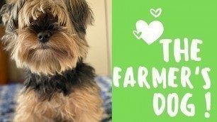 'Farmers dog food  review! Ft. Tigger ! ❤️'