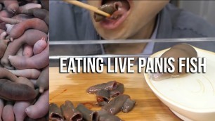 '*Graphic Content* Live Eating Penis Fish Spoon Worm Sashimi | ASMR EATER'