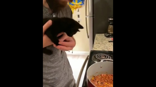 'when your cat loves chili #shorts'