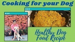 'Healthy Dog Food Recipe | Farmers Dog Copycat | Cooking for your Dog'