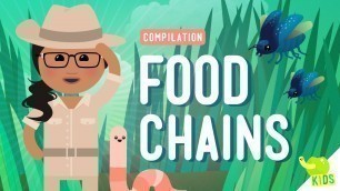 'Food Chains Compilation: Crash Course Kids'