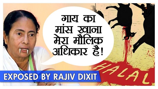 'Rajiv Dixit - ममता बैनर्जी को पसंद है गाय का मांस | Mamata Banerjee is fond of eating Beef'