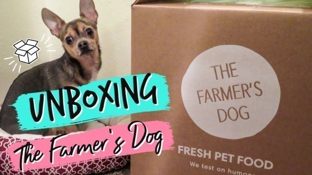 'The Farmer\'s Dog Unboxing'