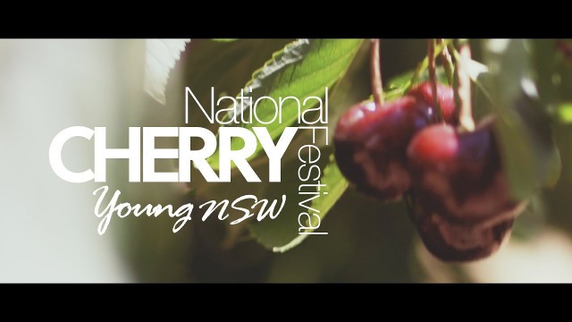 'Cherry Festival Young | Food Safari | Coco & Vine Food Blog'