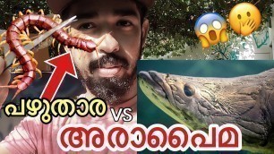 '“പഴുതാരയെ”തിന്നാൽ അരാപൈമ ചാകുവോ??!!| feeding live lizard and centipede to Arapaima | Kerala aquarium'