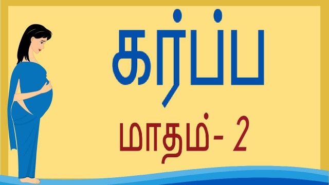 'Pregnancy | Tamil | Month 2 | கர்ப்பம் மாதம் 2'