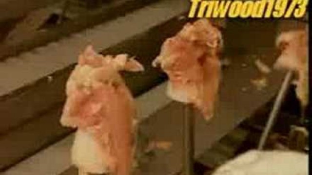 'How Chickens are Processed and Cooked in a Factory'