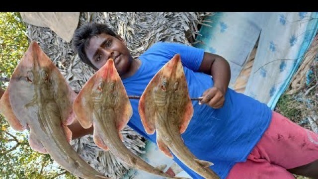 'Stingray Fish gravy|சுறா திருக்கை கிரேவி|Village Food Safari'