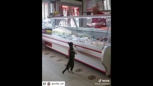 'Cat loves food.'