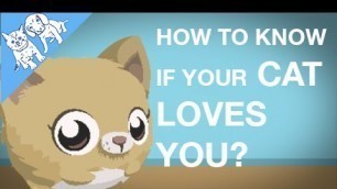 'Six ways to know your CAT loves YOU!'