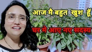 'घर मे आए नए  सदस्य | खुशी  का  ठिकाना नही  |'