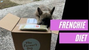 'My French Bulldog Diet (Frenchie & Yorkie)'