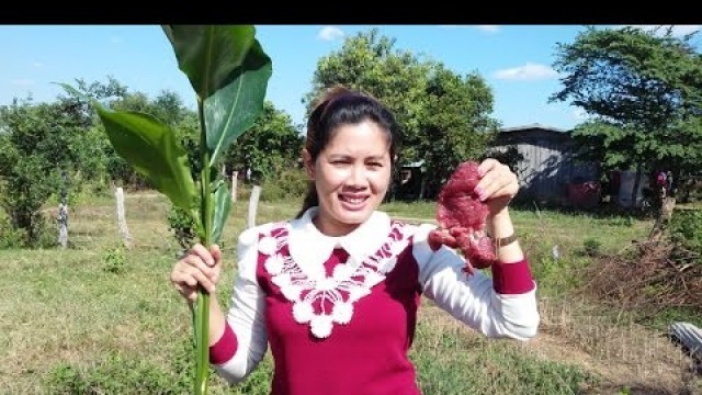 'Village Food Factory - Beautiful Girl cooking Cambodian food - Amazing street food(part 11)'