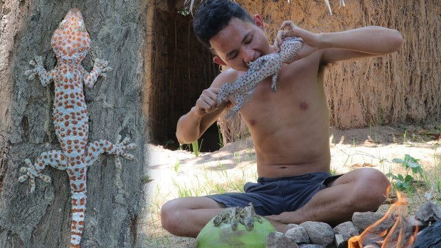 'Primitive Technology: Find gecko and lizard in forest - Cooking gecko eating delicious'