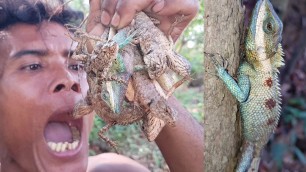 'Primitive Times: Finding Lizard Animals for Primitive Food Cooking - Primitive Technology'