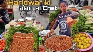 'Haridwar की धुआं निकाल chana chat । Street food India'