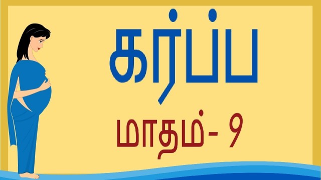 'Pregnancy | Tamil | Month by Month | Month 9 | கர்ப்பம் மாதம் 9 |  Week 33 to Week 36'