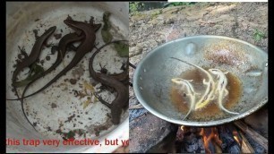 'Catch lizard by trap and Fry crispy with Oil'