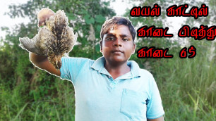 'காடை வேட்டை செய்து காடை ROAST||village food safari'