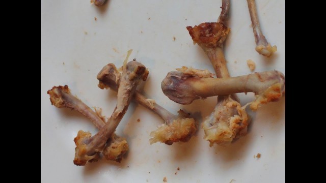 '2013 Super Bowl Prediction with Chicken Wing Bones!'