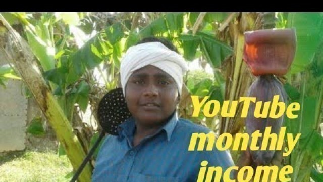 'Village food safari | YouTube channel monthly income'