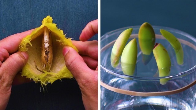 '13 Genius Gardening Hacks That You’ll Be Glad to Know! Blossom'