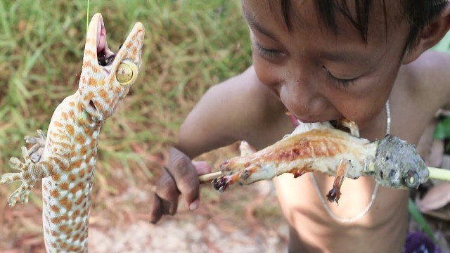 'Primitive Technology - Find Food Gecko  Lizard  In forest - Amazing Kid  Catching Gecko wilderness'