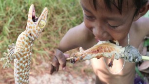 'Primitive Technology - Find Food Gecko  Lizard  In forest - Amazing Kid  Catching Gecko wilderness'